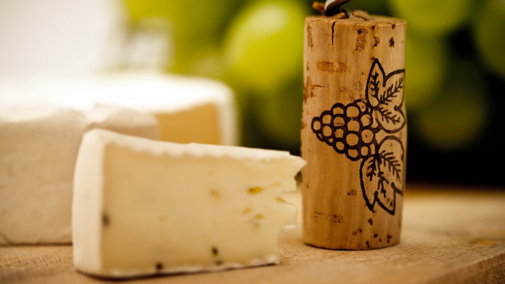 cheese and wine tasting