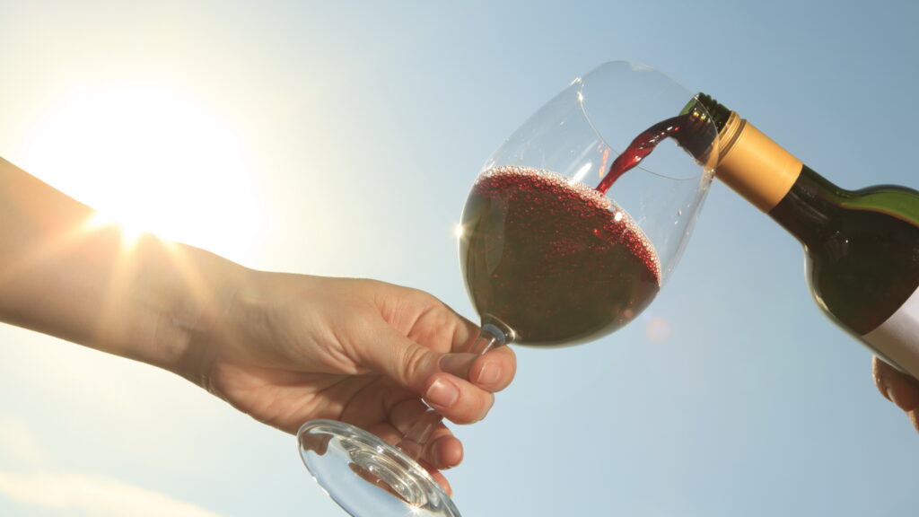 South america wine tasting