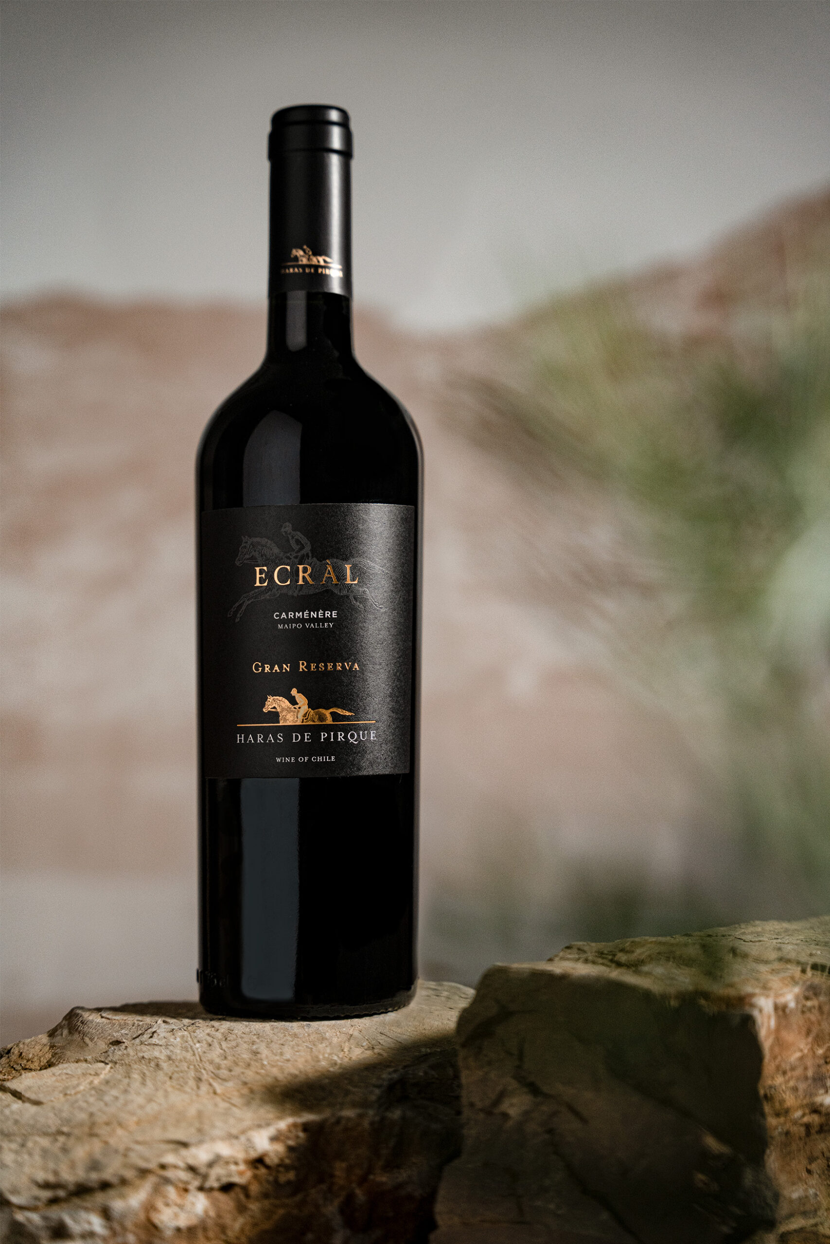 Haras de Pirque Ecral - Image 2