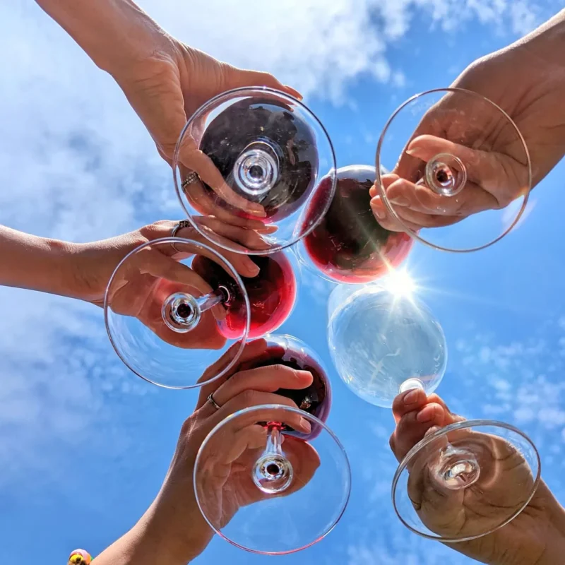 Best Wine for Party - cheers toasting with wineglasses