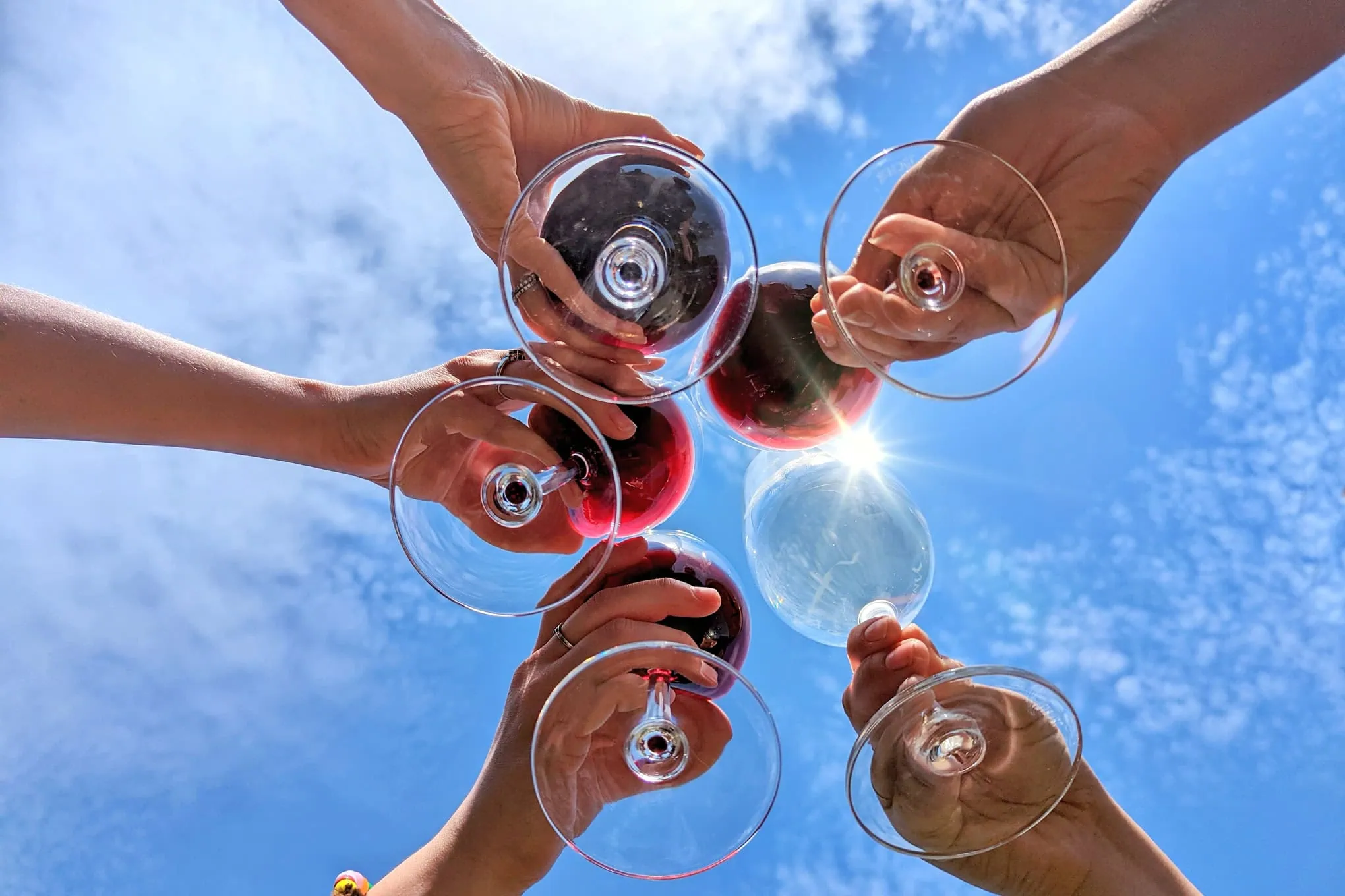 Best Wine for Party - cheers toasting with wineglasses