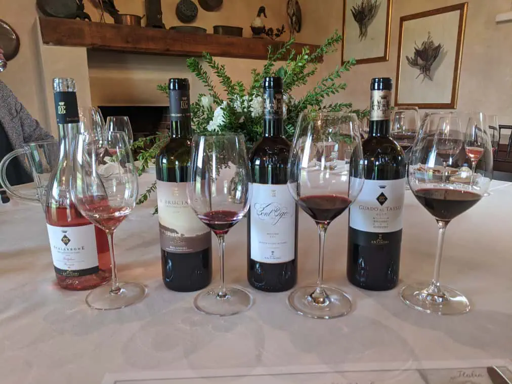 antinori wines - bolgheri