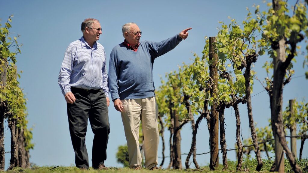 Online Cheese & Wine Tasting - Australia - 27th June