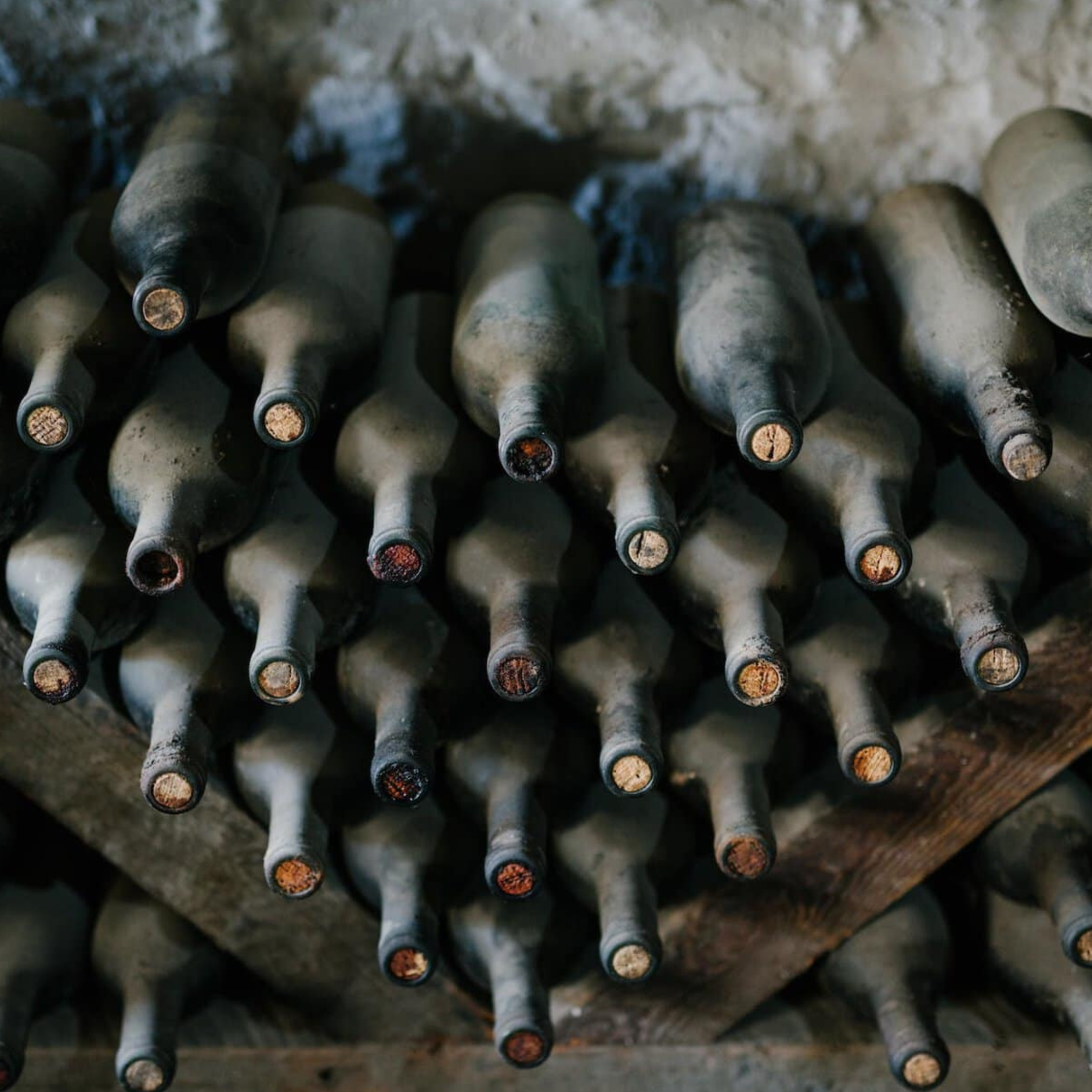 Fine Wine Tasting - Bordeaux