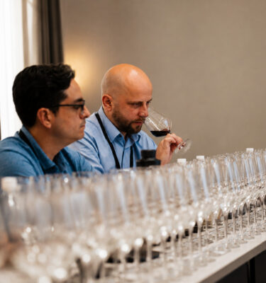 The Great Wine Regions Series – Part 8: Southern Italy and the Islands