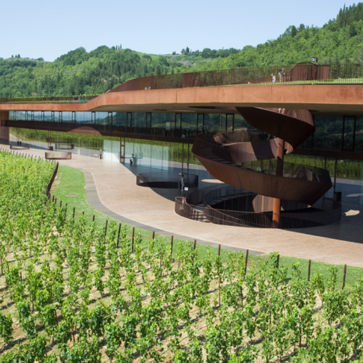 An Evening with Antinori: Castello della Sala, Tuscany & Tignanello at Edgbaston