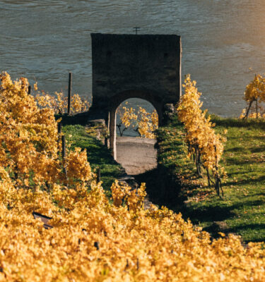 Prager: The Wines of Austria's Wachau Valley