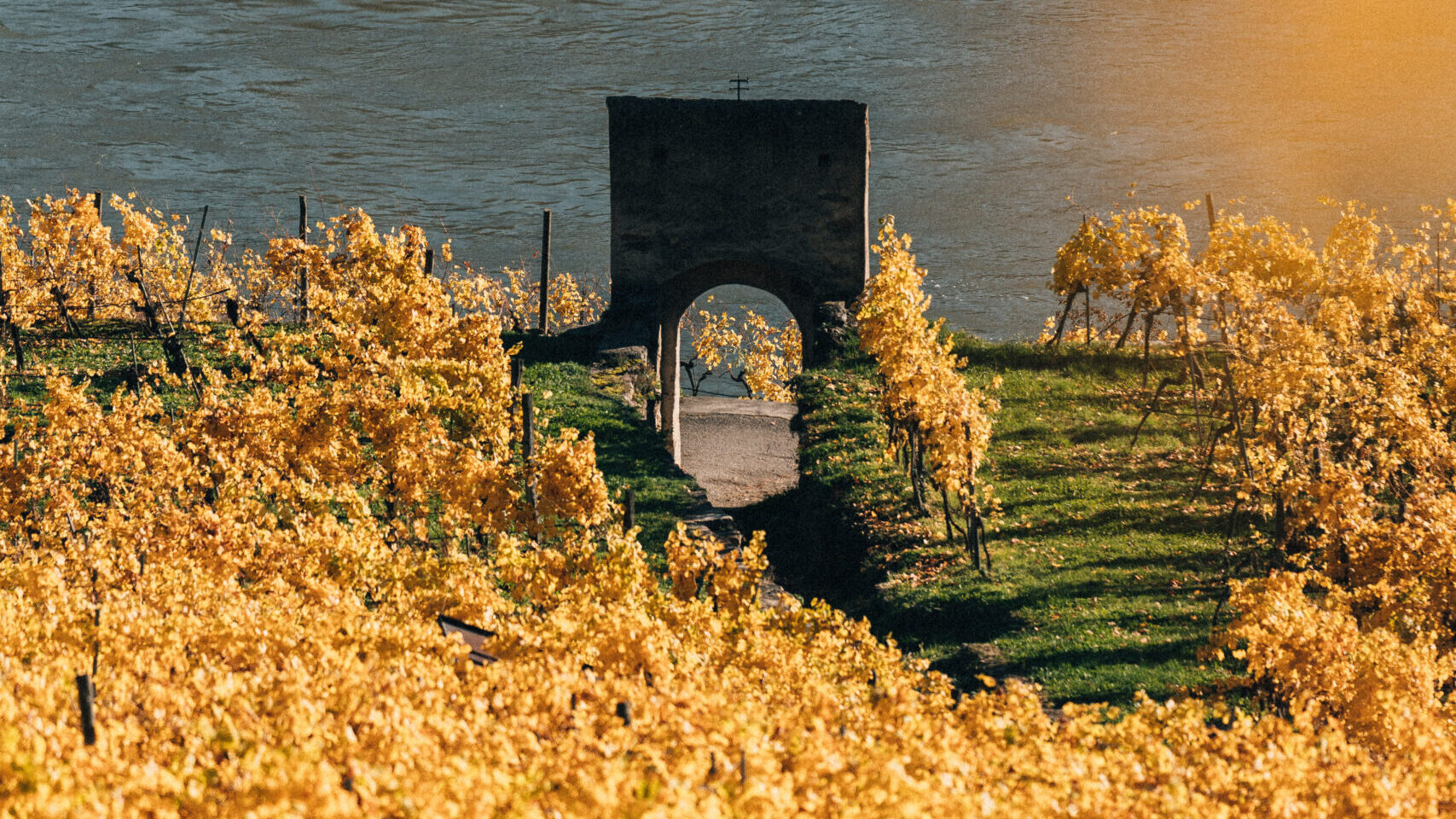 Prager: The Wines of Austria's Wachau Valley