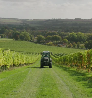 An Evening with Karl McCulloch: Exton Park & English Sparkling Excellence