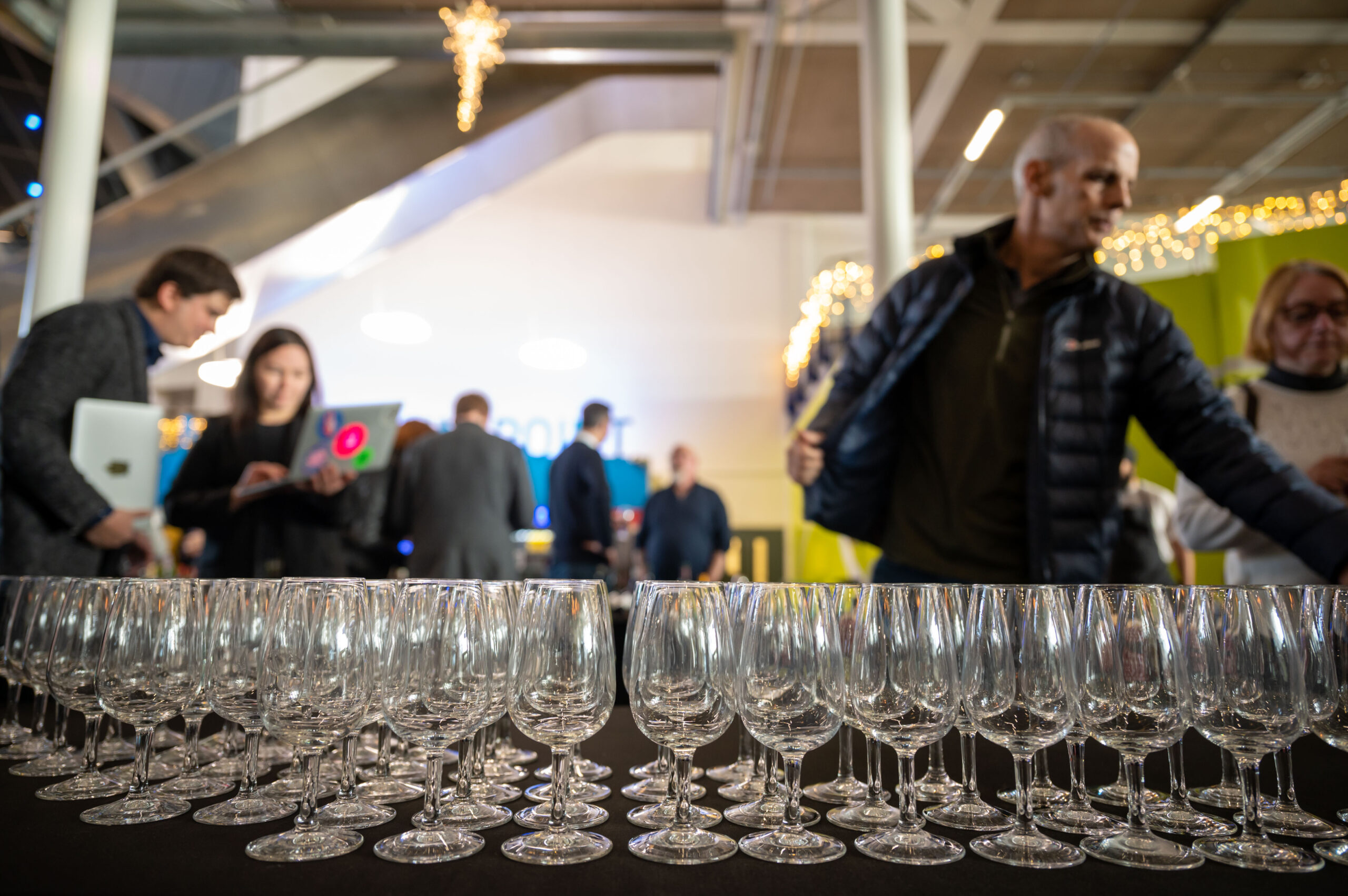 Birmingham Christmas Wine Fair 2026 - Image 3