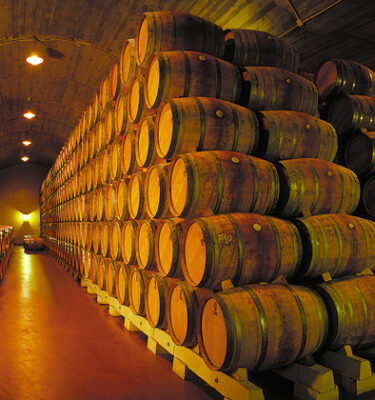 Luis Cañas: Old Vines, Modern Rioja