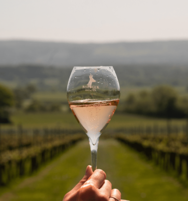 Roebuck Estates: The New Era of English Sparkling Wine