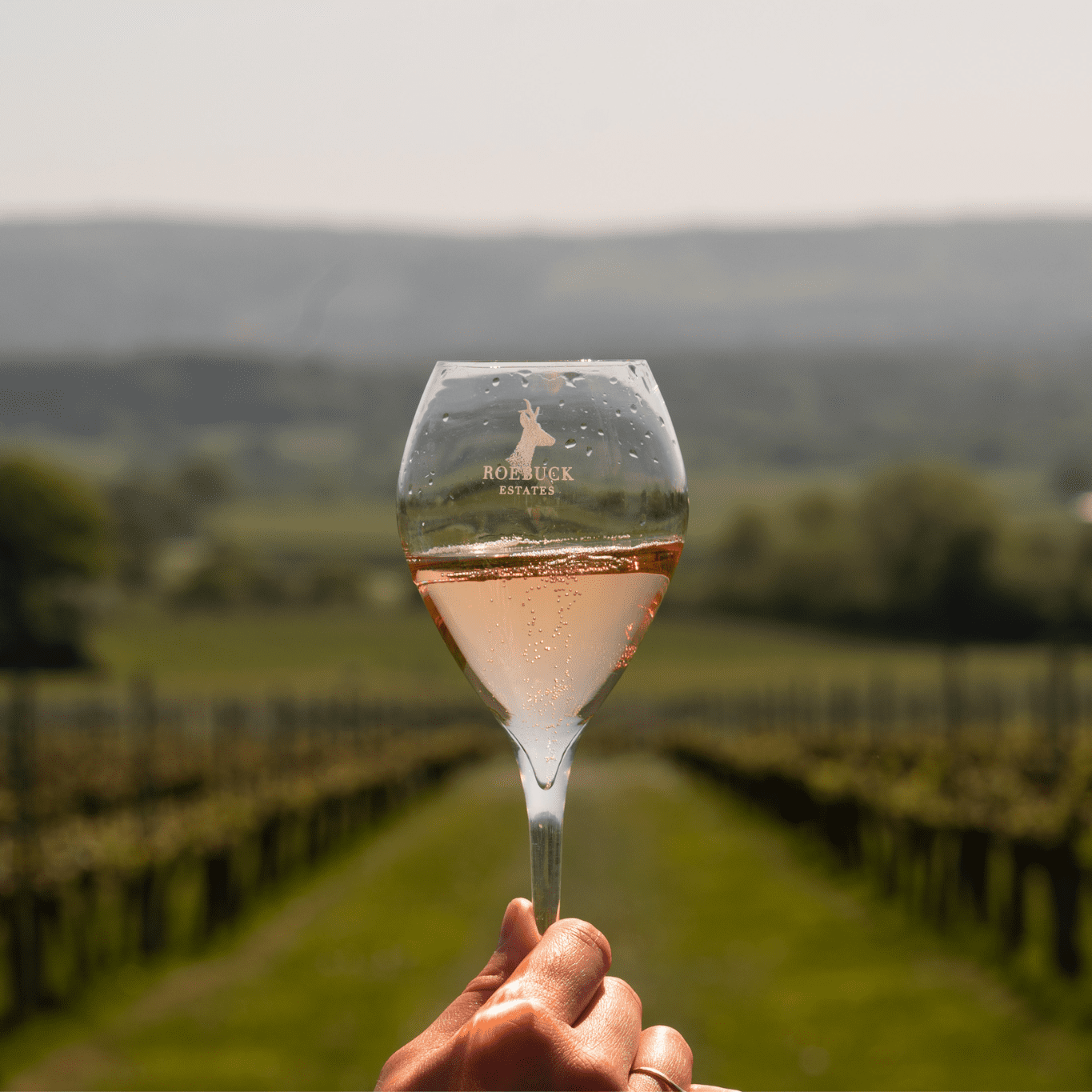 Roebuck Estates: The New Era of English Sparkling Wine